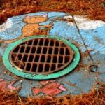 Blocked Drains – Causes, Prevention & What To Do in Eastern Suburbs