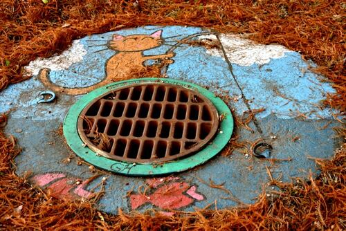 Blocked Drains – Causes, Prevention & What To Do in Eastern Suburbs