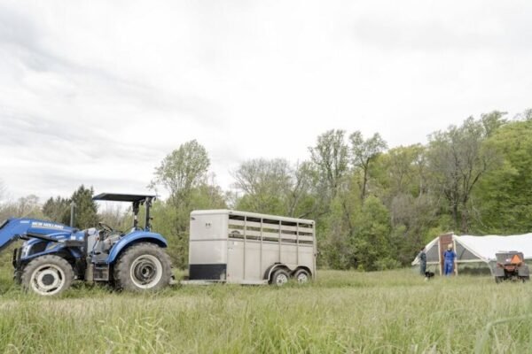 Benefits of Hiring Professional Junk Removal Services